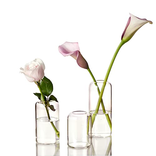ZENS Kleine Vase Set 3er, Glas Vasen Modern Zylinder Knospe Blumenvase mit Schmalem Mund für Hochzeit Deko, Handgeblasen Tisch Glasvase für Heimdekoration Mittelstücke