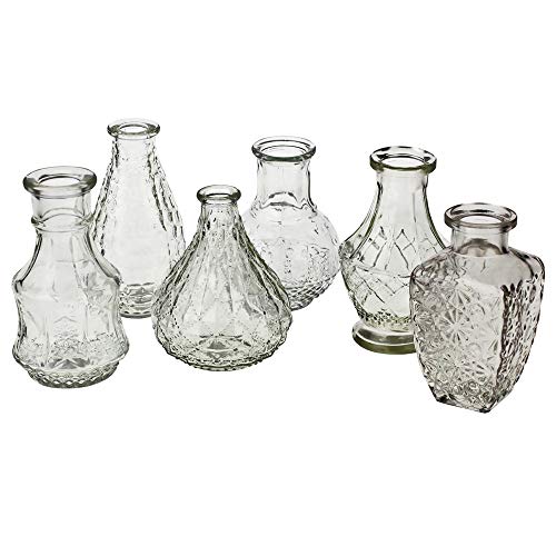 Annastore 12 x Vasen aus Glas Dekovasen Glasvasen Dekogläser Deko Glas Vintage Glasflaschen Größe 12-14 cm/ 12 St. / 6 Modelle