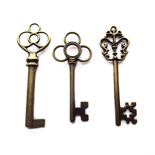 Gemischte 30 Vintage Skelett Schlüssel Alte Schlüssel Antiker Schlüssel Bronze Retro Schluessel Hochzeit(Bronze)