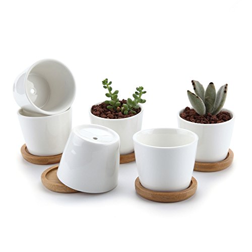 T4U 6.5CM Keramik Sukkulenten Töpfe Kaktus Pflanze Töpfe Mini Blumentöpfe mit untersetzer Runde Weiß 6er Set