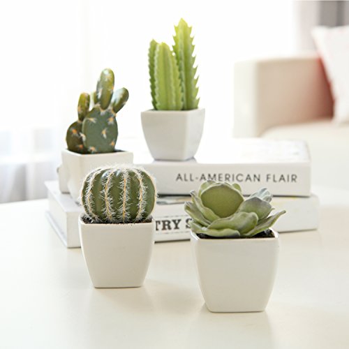 MyGift Set mit 4 künstlichen Mini-Sukkulenten und Kaktuspflanzen in weißen Würfeltöpfen