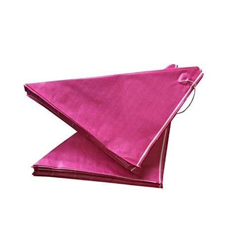 Imbiss- und Partyzubehör Spitztüten aus Papier Länge ca. 23 cm für ca. 250 g Inhalt (100 Stück, pink)