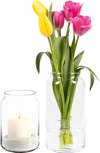 Giessle® Set Modern mit 15cm Windlicht und 20cm Vase (Wohnzimmer Tulpenvase Blumenvase Glasvase für Trockenblumen) Transparent