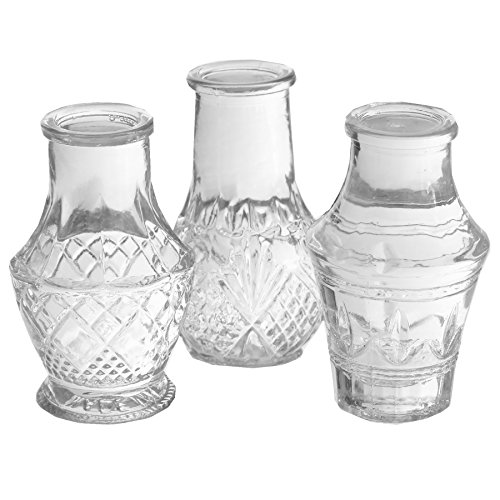 Annastore 12 x Mini-Vase H 8 cm - KIeine Vasen für die Tischdeko - Deko Vasen Glasfläschchen Glasvasen Blumenvasen