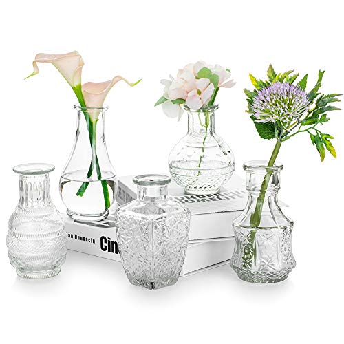 Kleine Vasen Set 5er Mini Vase Glas Vintage Hochzeit Kristalle Klare Blumenvase Verschiedene Groessen Modern Schmal Glasvasen Tischdeko Fur Blumen Deko Wohnzimmer Bad Muttertagsgeschenk