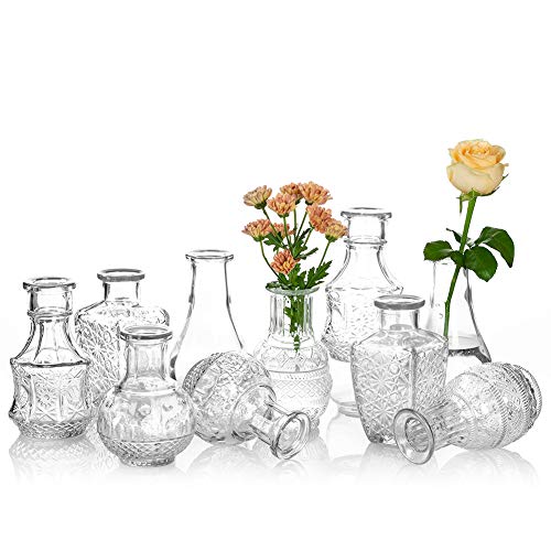 Glasvase Für Blumen 5er-Set Klare Vintage Bud Vase Süße Mini-Erbsenvase Für Tischdekoration Innendekor Hochzeit (klar, 10)