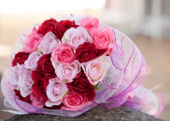 Erfahrungsbericht: Bei Blume2000 Rosen für die Frau bestellen