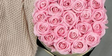 Erfahrungsbericht GRACE flowerbox: jahrelang haltbare Rosen