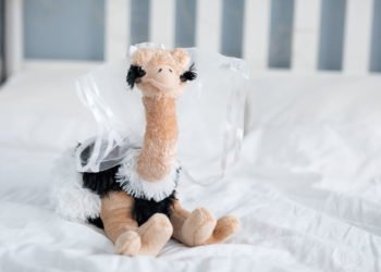 Wurfstrauß: Ein Plüsch Vogel Strauß zum "Brautstrauß" werfen