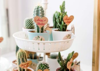 Kleine Blumen oder Pflanzen als Gastgeschenk zur Hochzeit