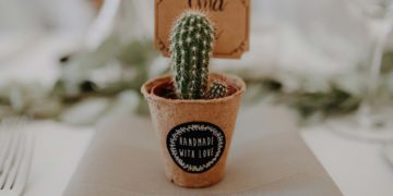 Kakteen als Gastgeschenk zur Hochzeit