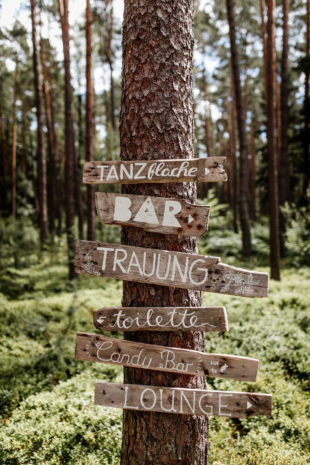 Hochzeit im Wald So könntet ihr in der Natur heiraten