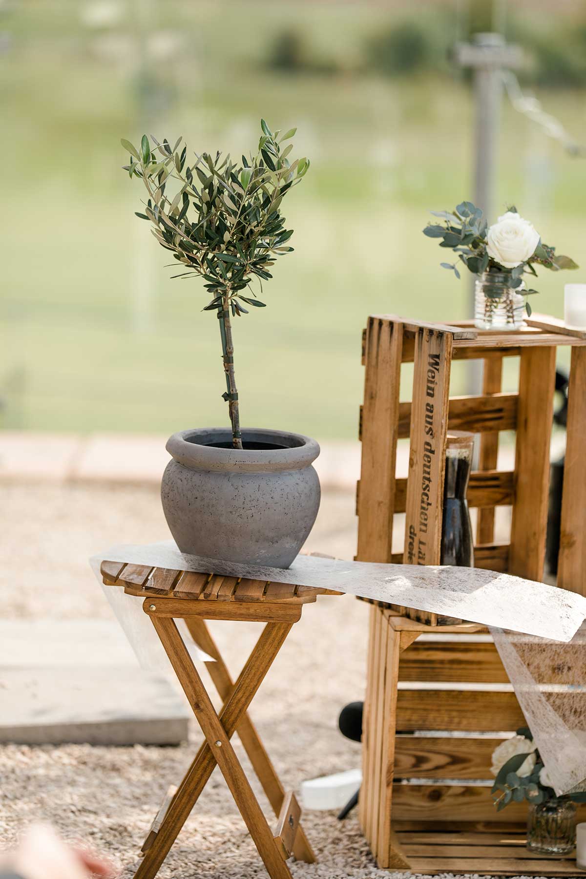 Baum bei der Hochzeit pflanzen