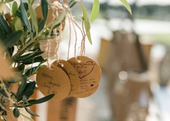 Baum während der Hochzeit pflanzen: Ritual für die Trauung