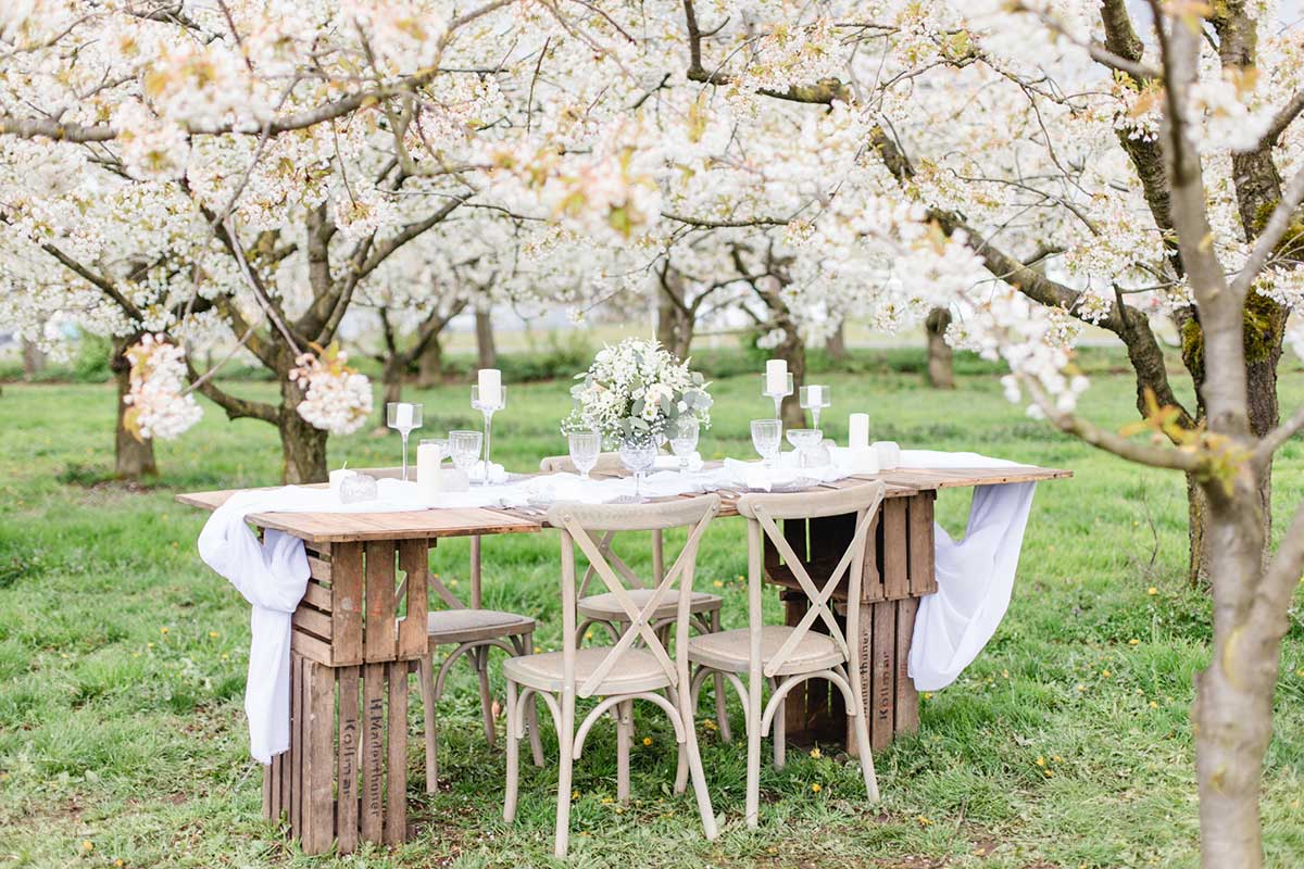Tisch unter Blütenhimmel bei der Hochzeit